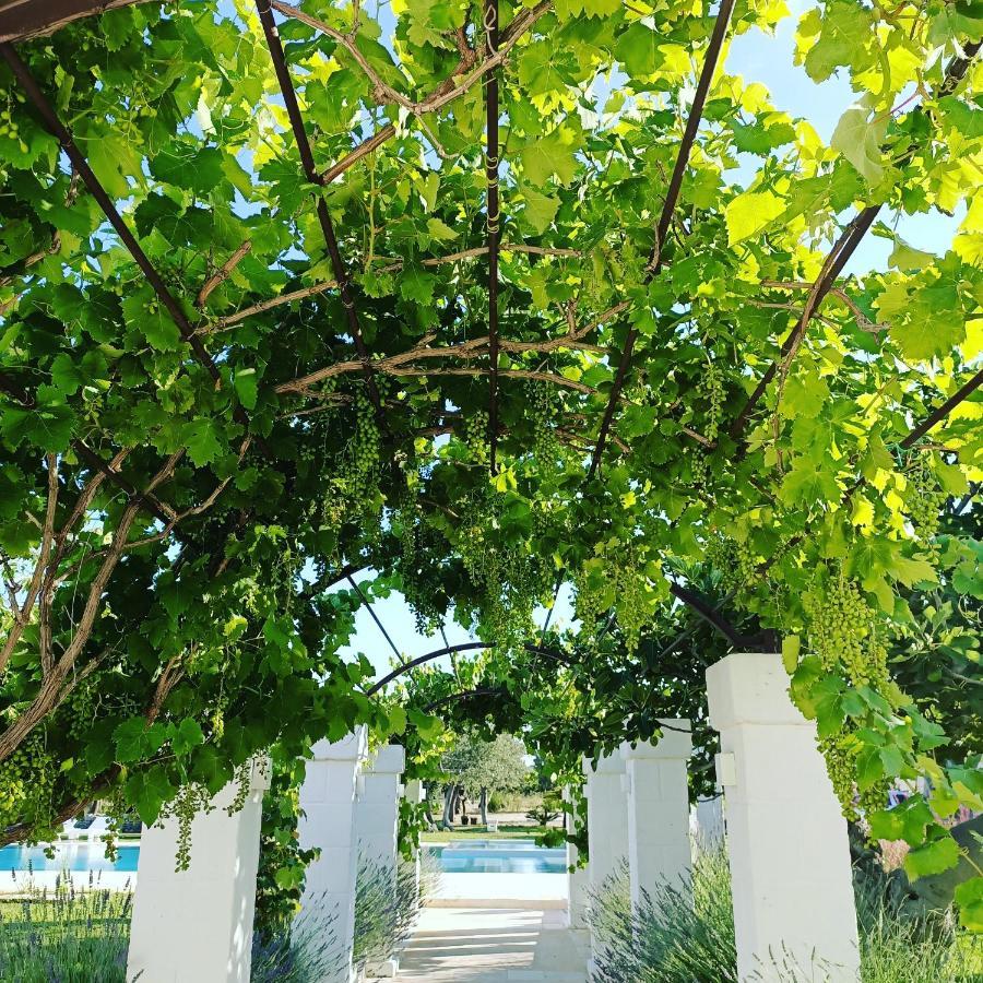 Masseria Almadava Polignano a Mare Exterior foto